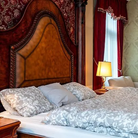 Luxury Charles Iv Apartment Karlovy Vary